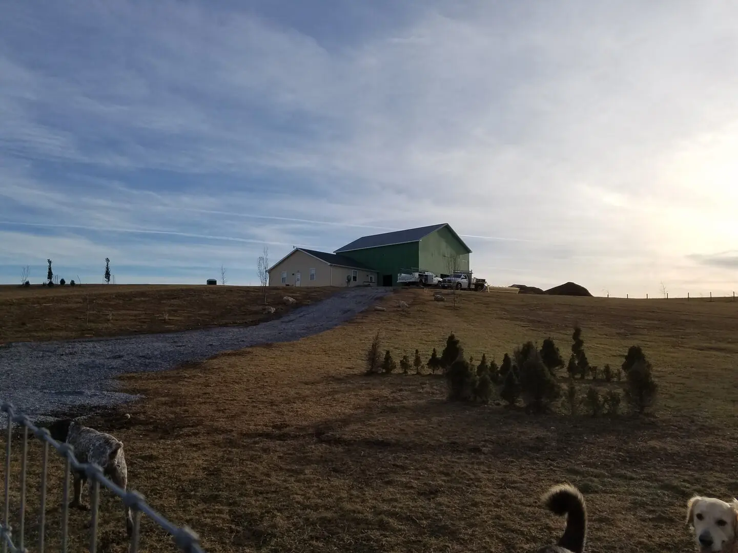 A green barn sitting on top of a hill.