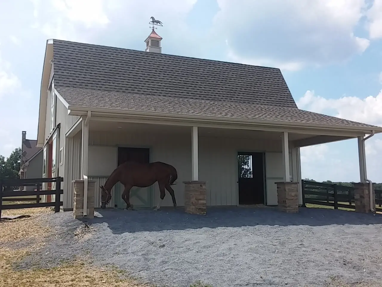 A horse is standing in front of the barn.