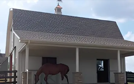 A horse is standing outside of a building