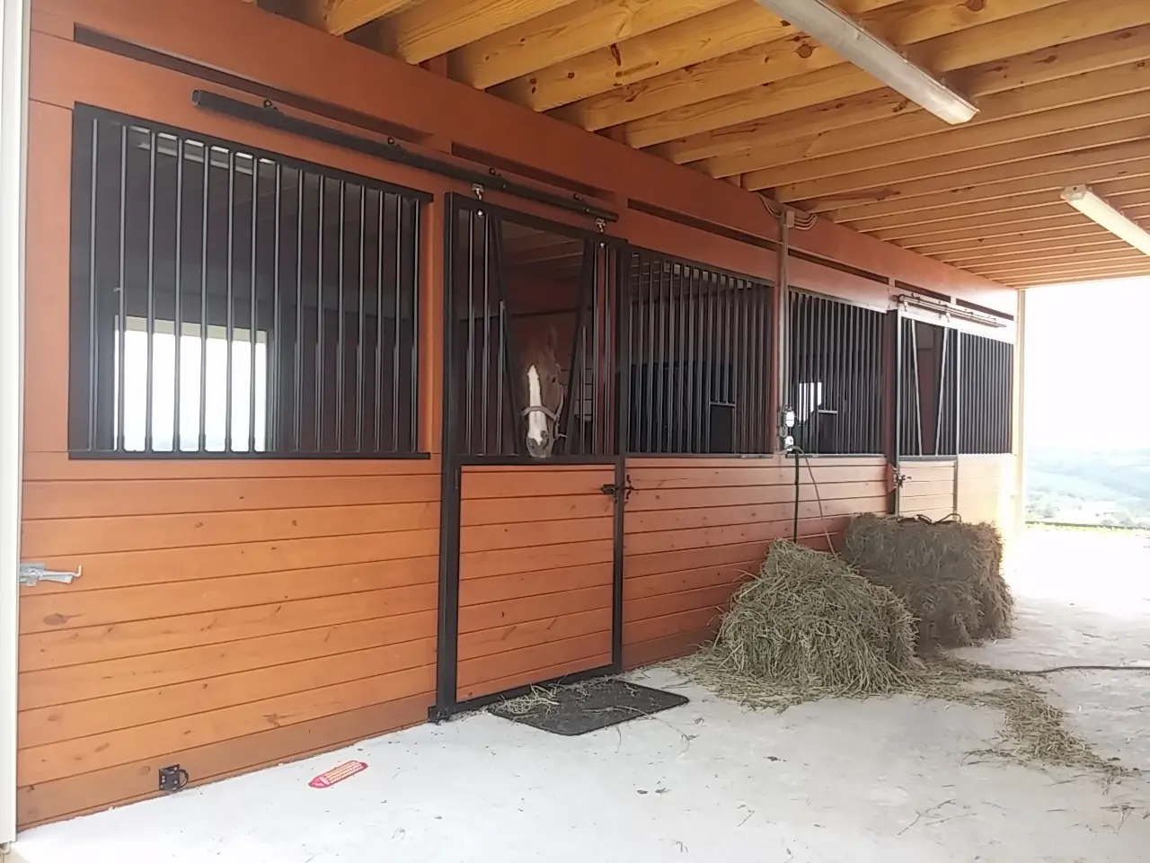 A stable with hay and a barn door open.